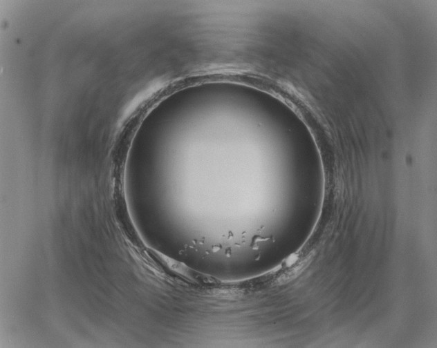 X0000064731406200602171630