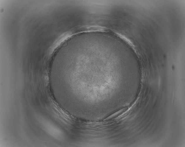 X0000064731407200602171630