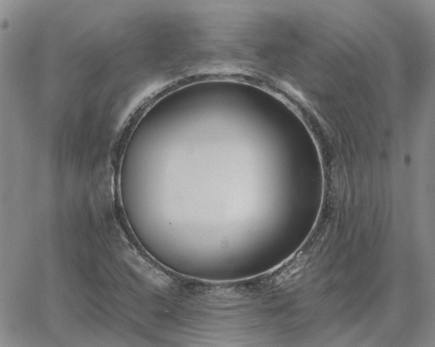 X0000064731408200602171630