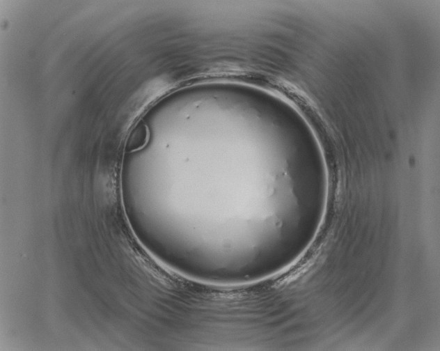 X0000064731409200602171630