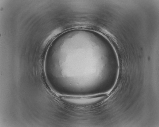 X0000064731411200602171630