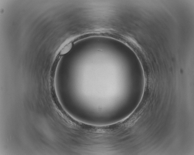 X0000064731412200602171630