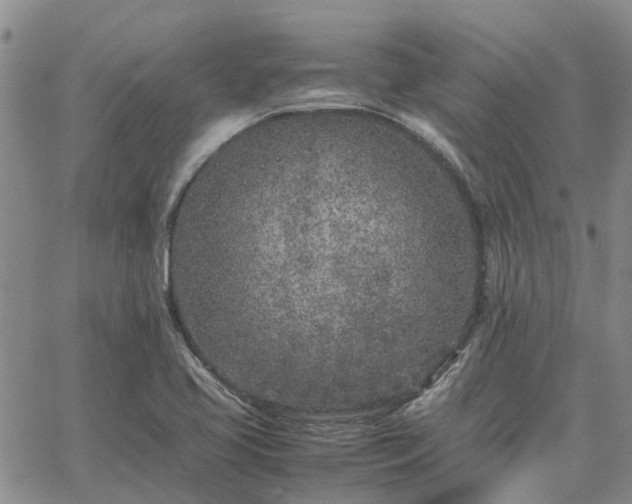 X0000064731413200602171630