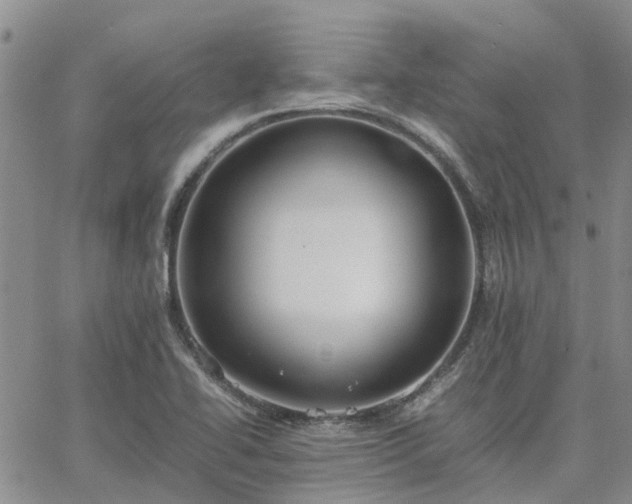 X0000064731414200602171630