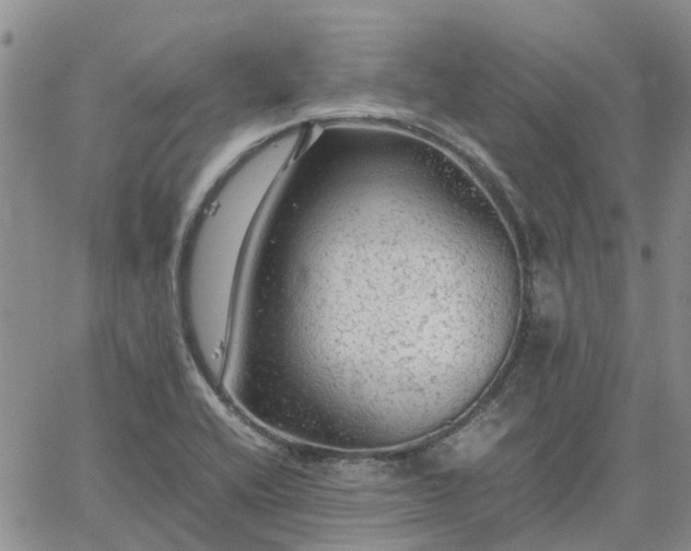 X0000064731416200602171630