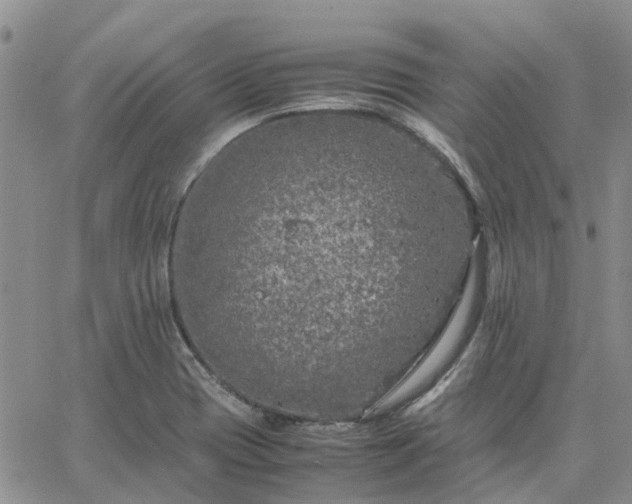 X0000064731417200602171630