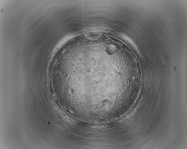 X0000064731419200602171630