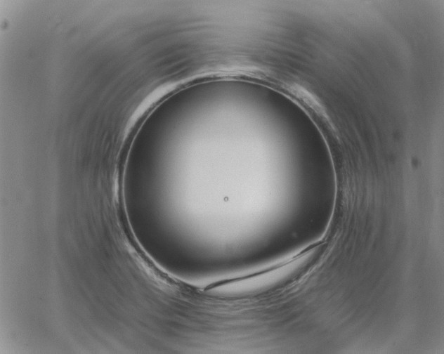 X0000064731420200602171630