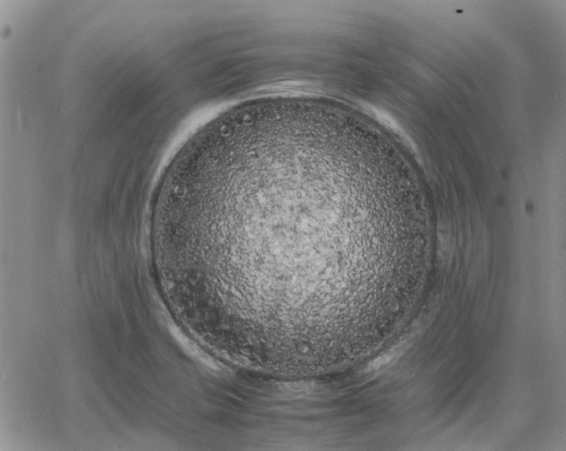 X0000064731421200602171630