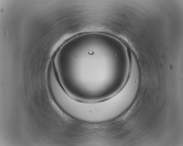 X0000064731422200602171630