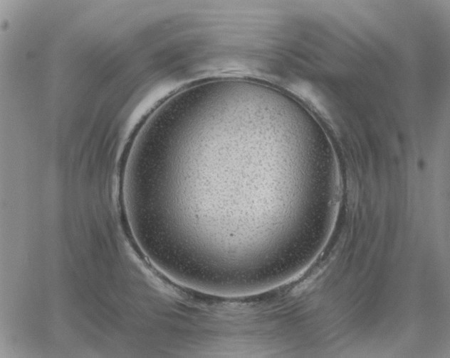 X0000064731424200602171630