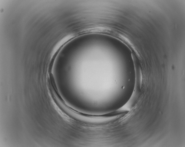 X0000064731426200602171630