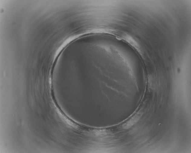 X0000064731428200602171630