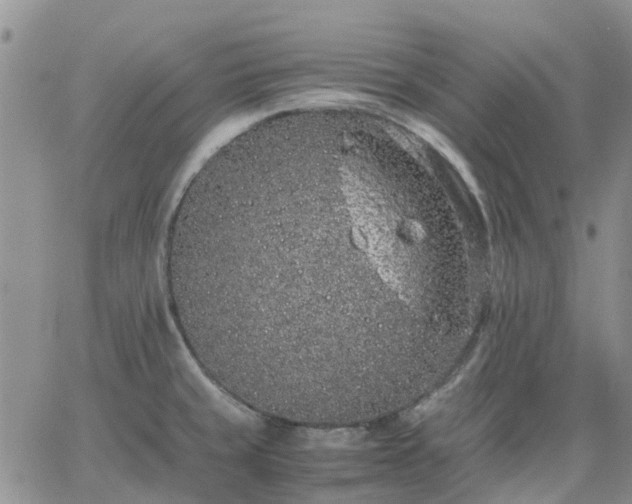 X0000064731429200602171630