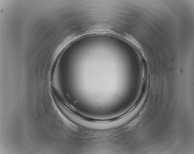 X0000064731430200602171630