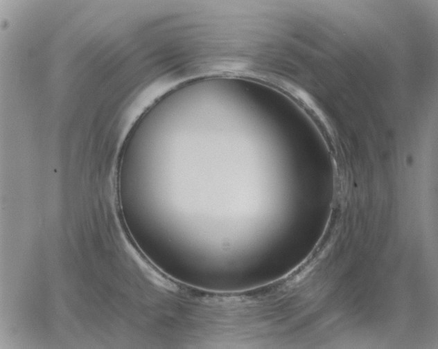 X0000064731432200602171630