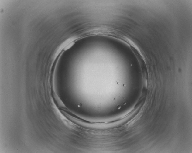 X0000064731434200602171630