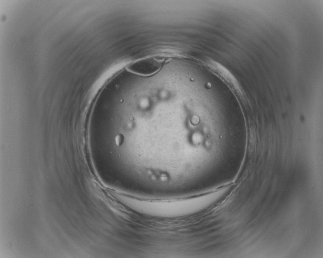 X0000064731435200602171630