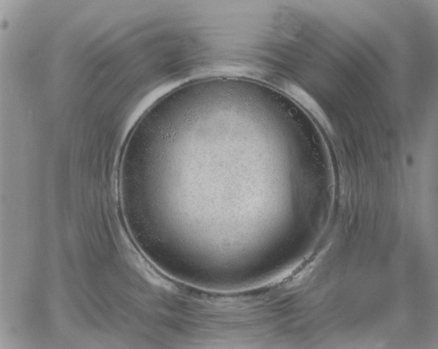 X0000064731436200602171630