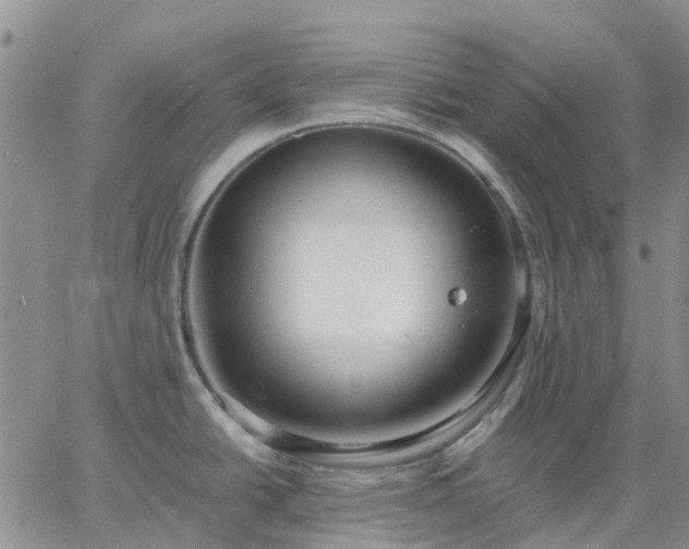 X0000064731438200602171630