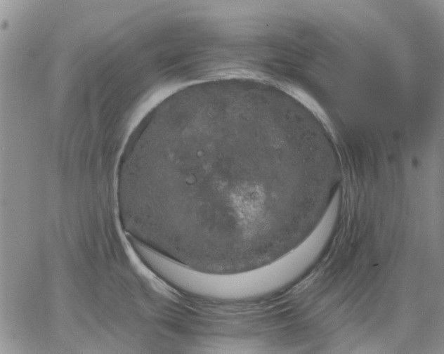 X0000064731439200602171630