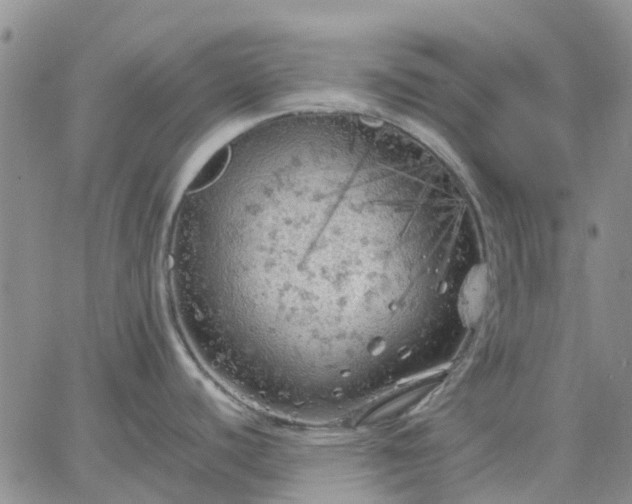 X0000064731440200602171630