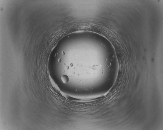 X0000064731441200602171630