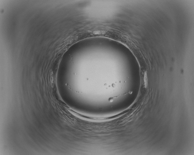 X0000064731443200602171629