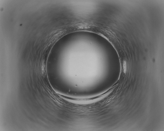 X0000064731444200602171629