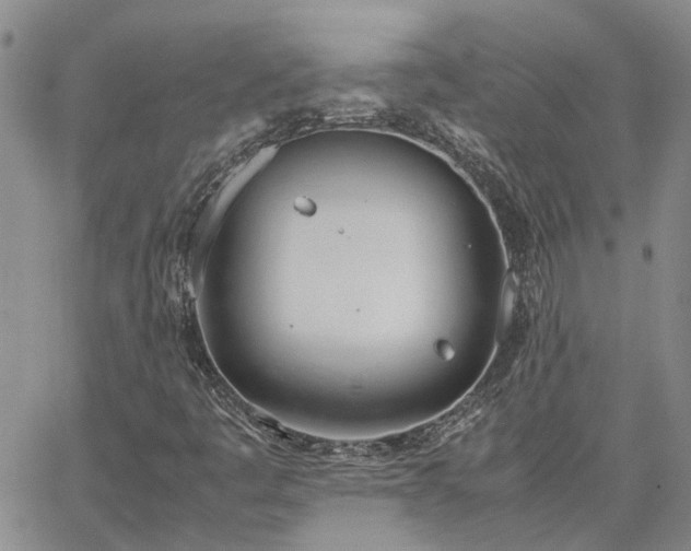 X0000064731445200602171629