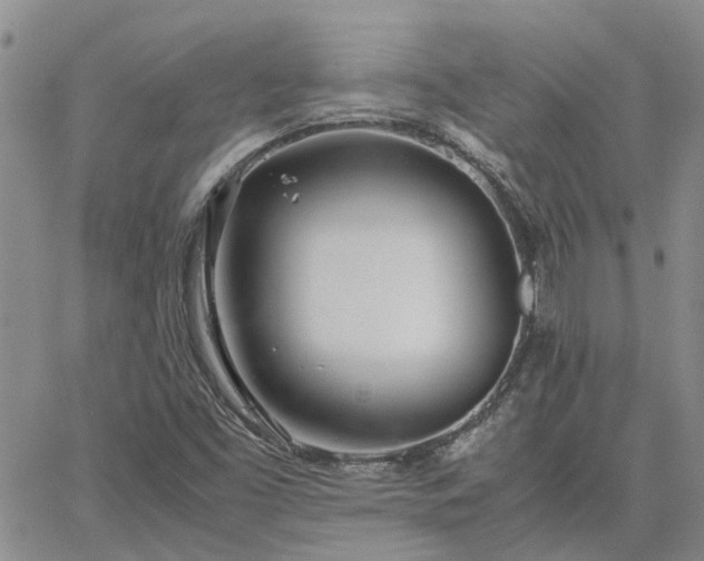 X0000064731453200602171629