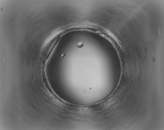 X0000064731456200602171629