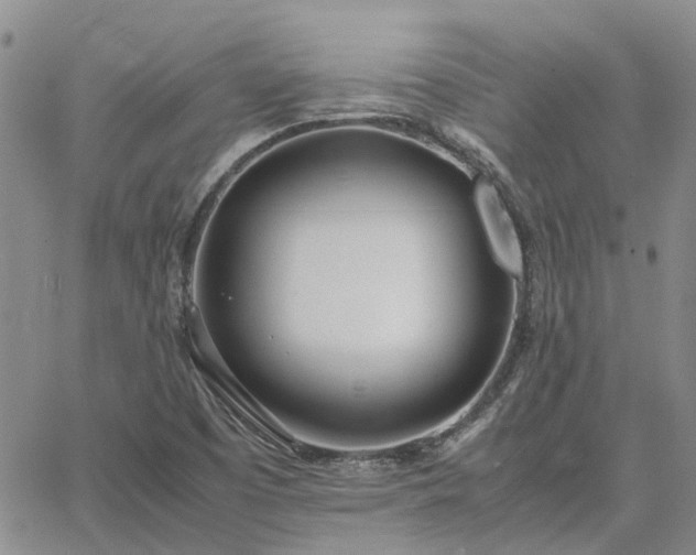 X0000064731457200602171629