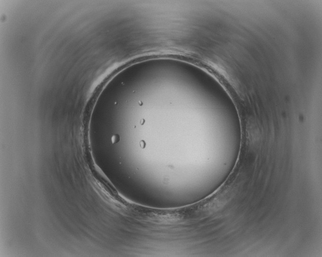 X0000064731460200602171629