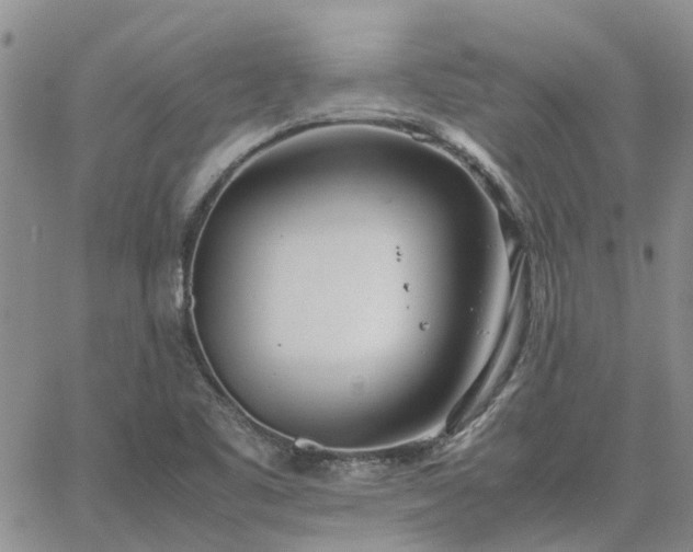 X0000064731461200602171629