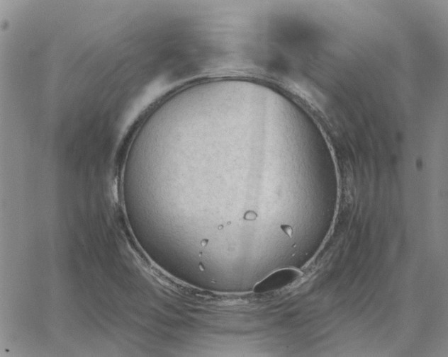 X0000064731462200602171629