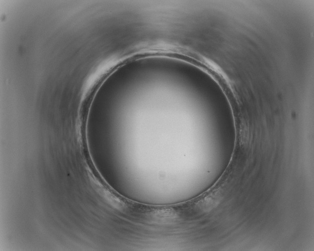 X0000064731464200602171629