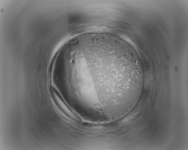 X0000064731467200602171629