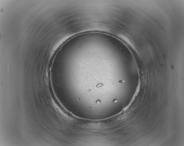 X0000064731468200602171629