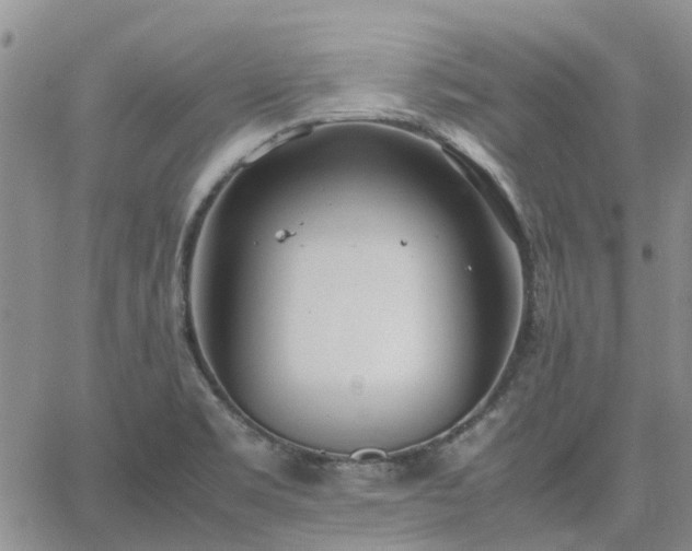 X0000064731469200602171629