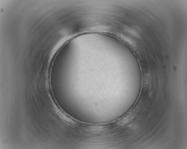 X0000064731470200602171629