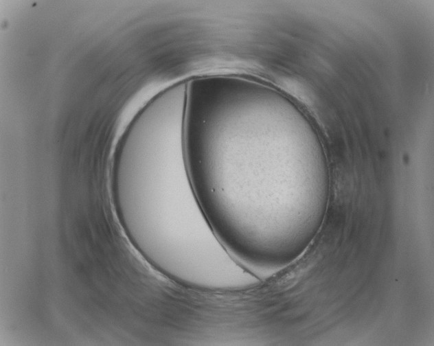 X0000064731472200602171629