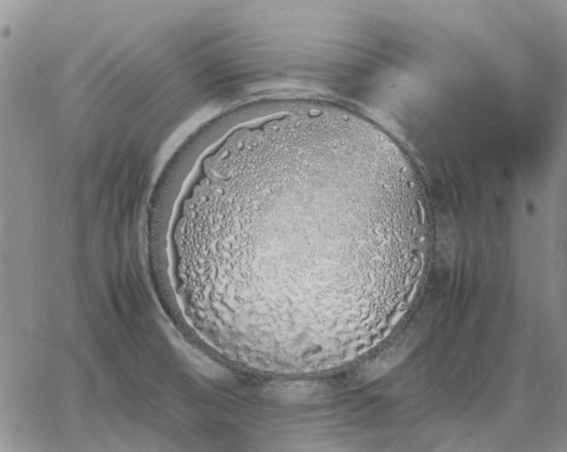 X0000064731474200602171629