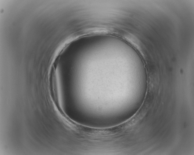 X0000064731475200602171629