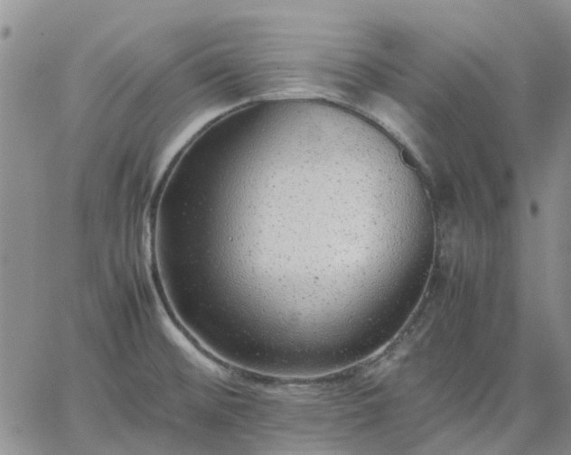 X0000064731476200602171629