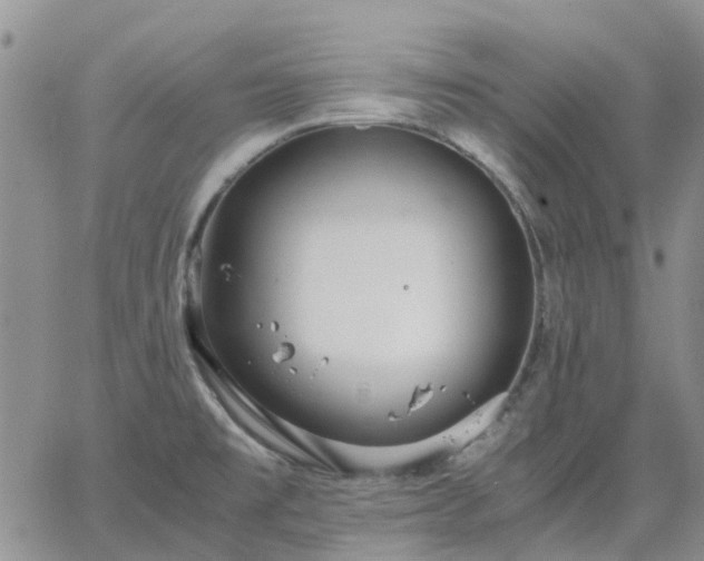 X0000064731477200602171629