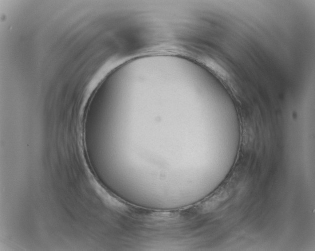 X0000064731478200602171629