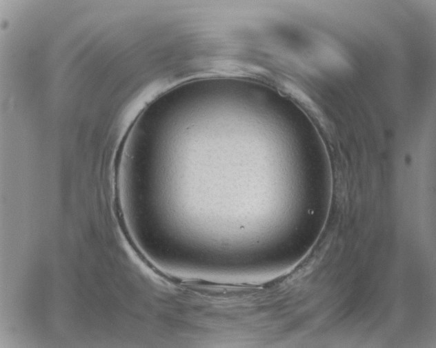 X0000064731479200602171629