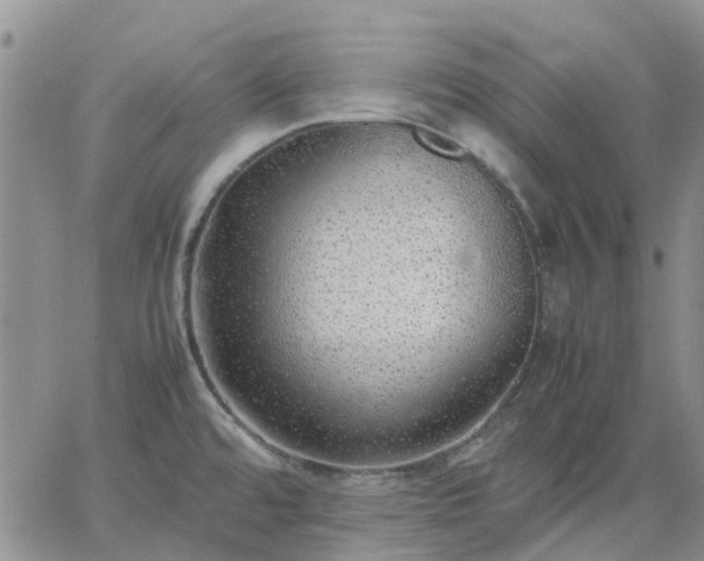 X0000064731480200602171629