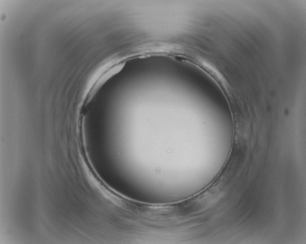 X0000064731483200602171629